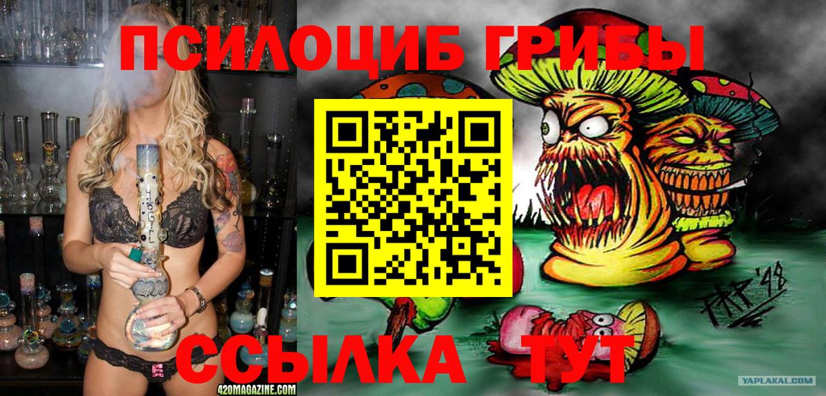 Псилоцибиновые грибы GOLDEN TEACHER Майский