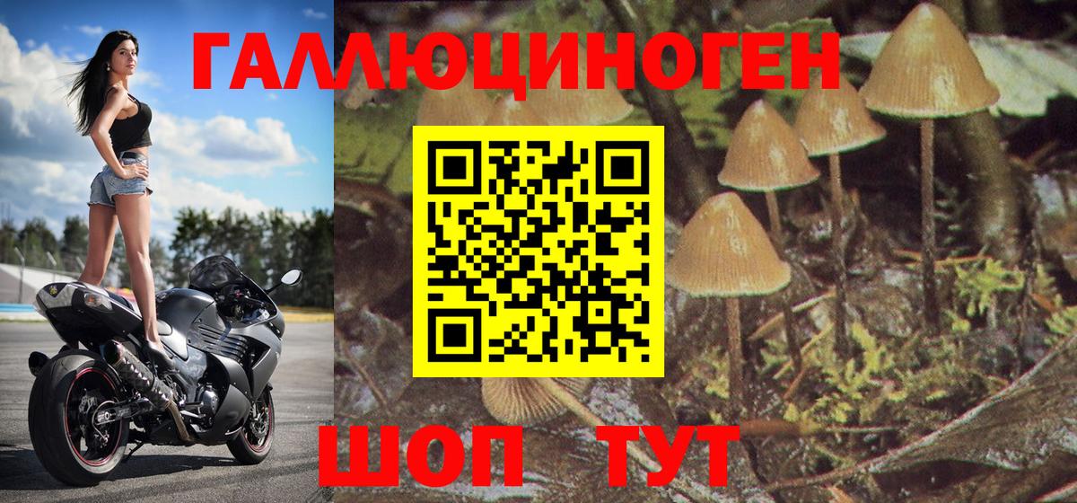 Галлюциногенные грибы Psilocybine cubensis  Вход с VPN  Майский  Галлюциногенные грибы прущие грибы 